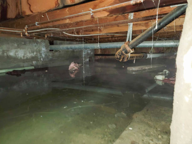 Water damage restoration insurance claims in Brainerd, MN