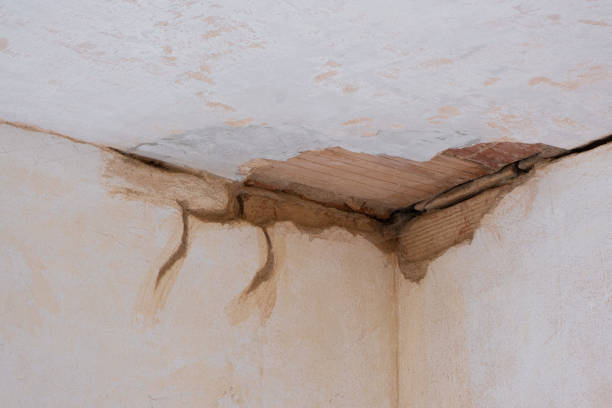 Best Flood restoration services  in Brainerd, MN