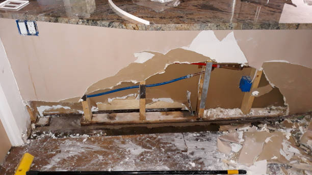 Best Water damage restoration insurance claims  in Brainerd, MN