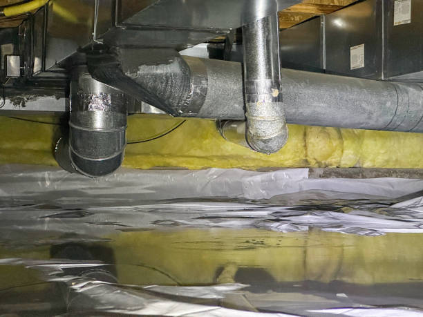 Best Ceiling water damage repair  in Brainerd, MN