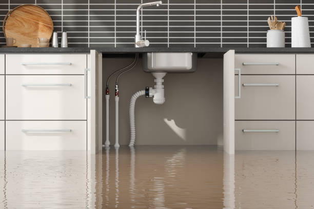 Reliable Brainerd, MN Water damage restoration Solutions