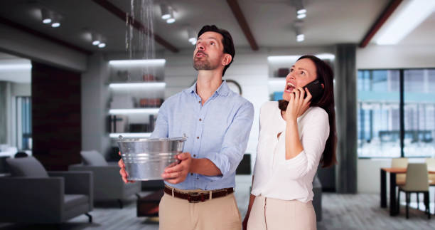 Best Water damage restoration near me  in Brainerd, MN